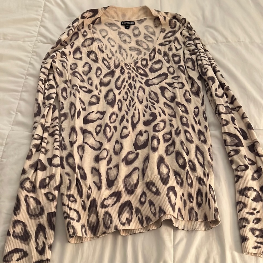 Express Sweater